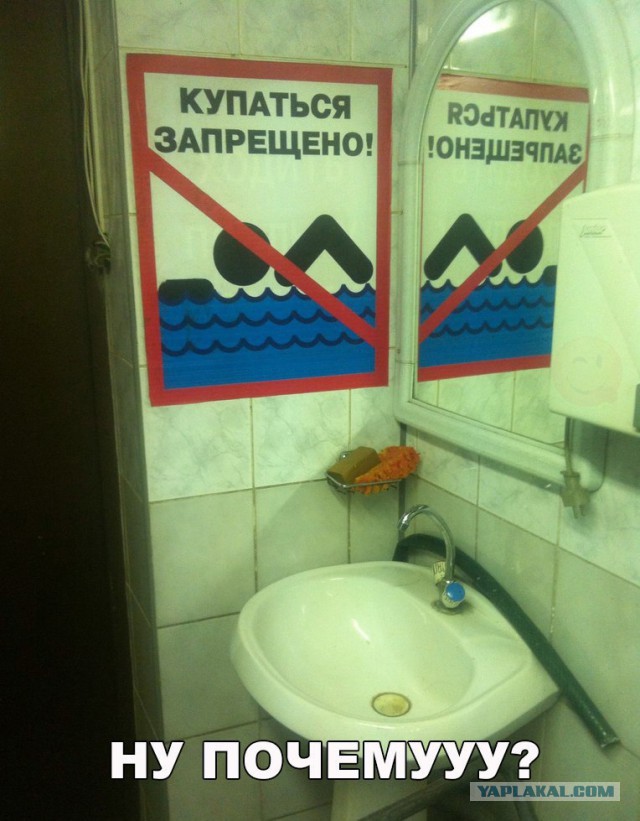 Картинки для поднятия настроения