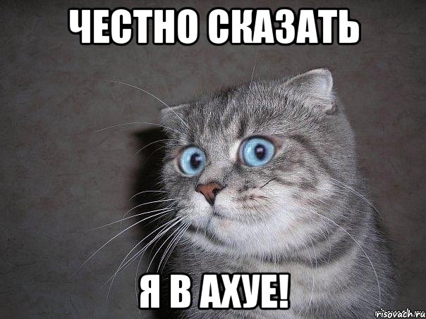 Накипелоипишу