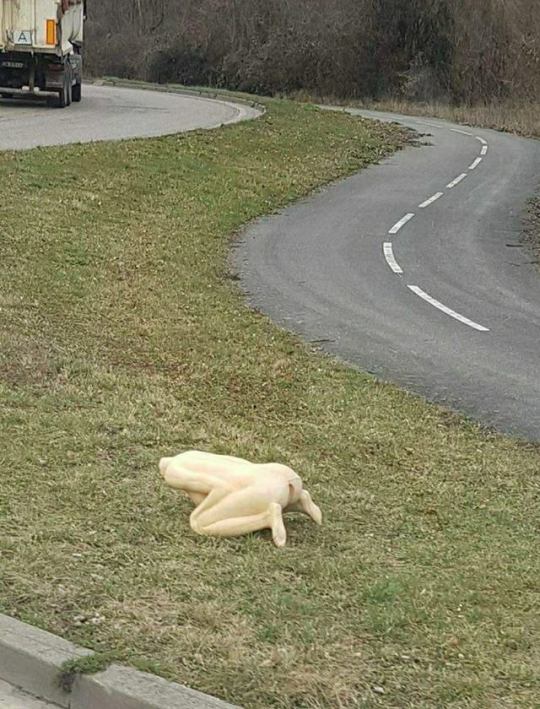 Немного пошлости!