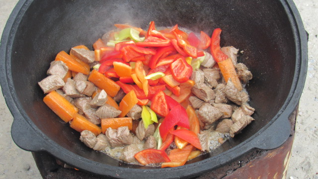 Шурпа обыкновенная, на природе