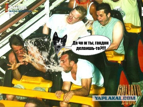 Фотожаба: Кот