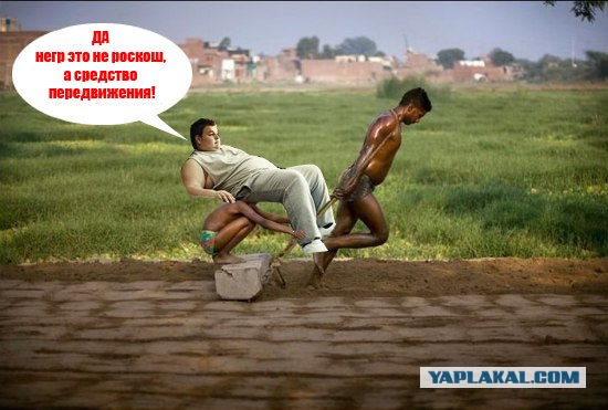 Фотожаба: Это не санки!