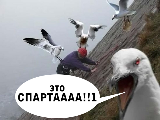 Ты следующий картинка