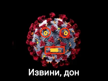 Слово академику