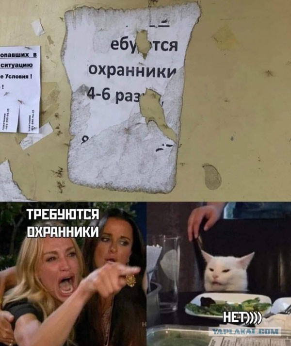 Пятница. И немного слегка пошлых картинок с надписями и без 16+ (24.12)
