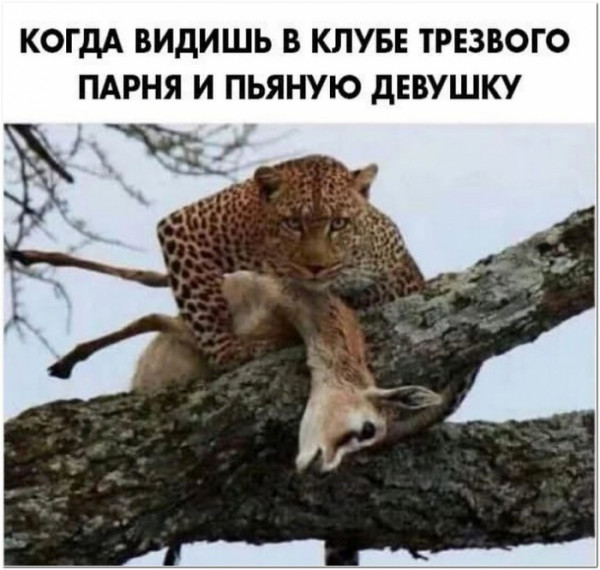 Баянисто-небаянистый юмор 24.01.22