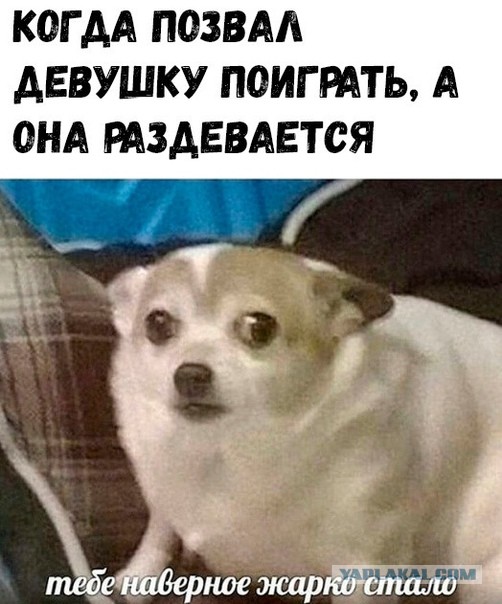 Пятница. И немного слегка пошлых картинок с надписями и без 16+ (04.02)