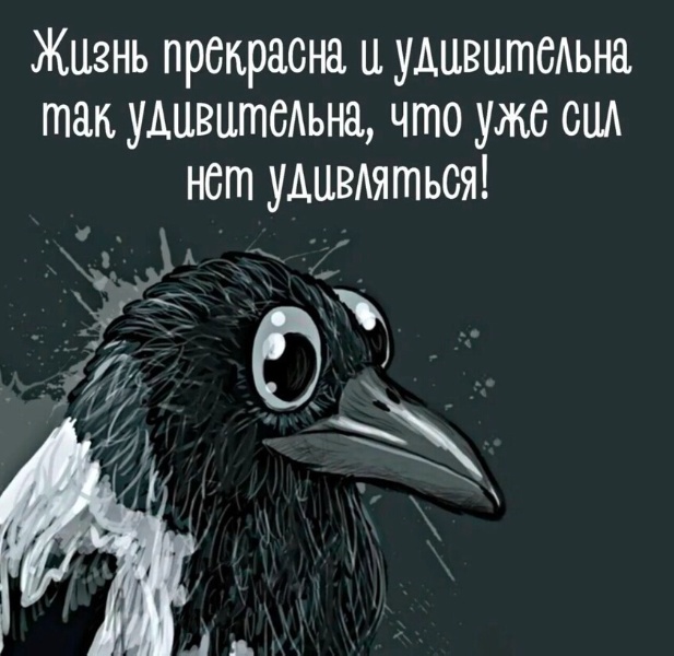 Так себе картинки 27.04.22