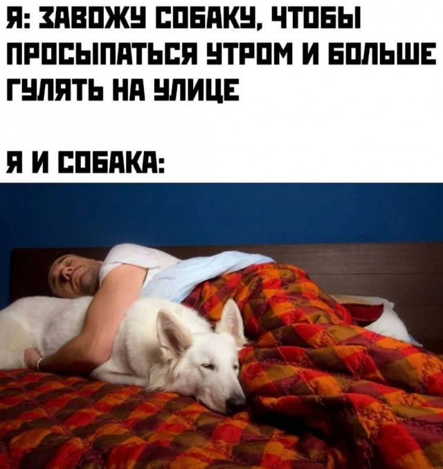 Немного картинок для настроения - 151