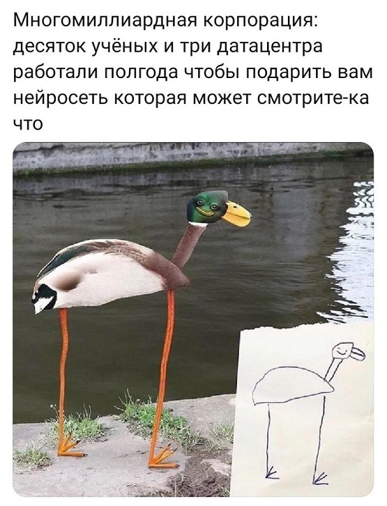 Подборка картинок 17.05.2023