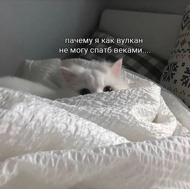 Всего понемногу. От 01.12.23