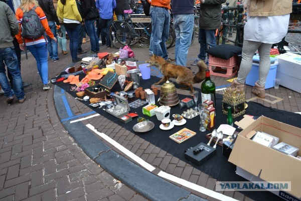 Последний День Королевы в Нидерландах
