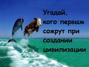 Если дельфины такие умные, то почему они не построили свою цивилизацию?