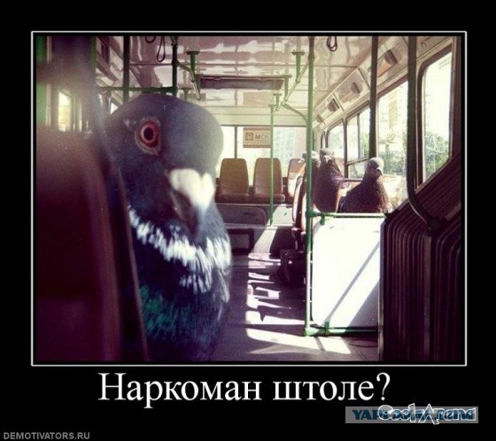 Мужская солидарность