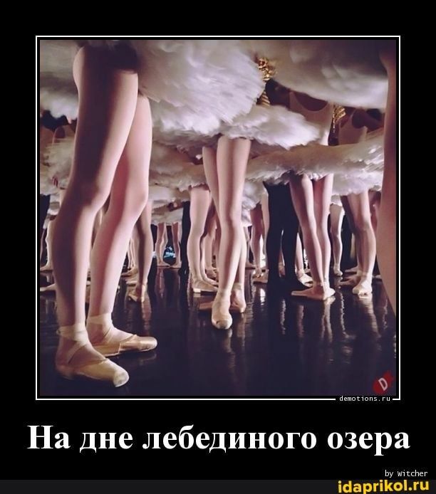 Так себе картинки 12.02.25