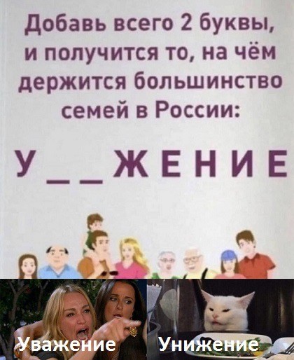 Знаменитый кот 2