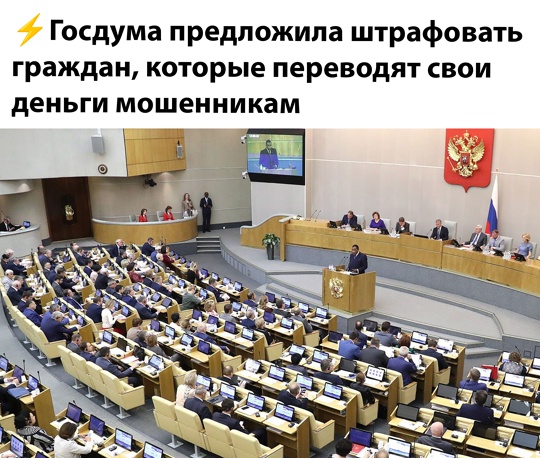 Весёлый полтишок 22.08.25