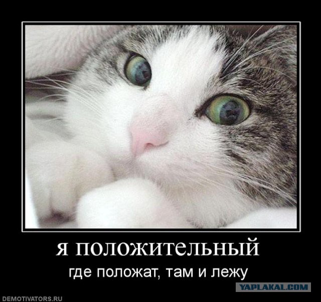 Демотиваторов пост, добавляйте свои