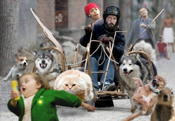 Весёлые картинки