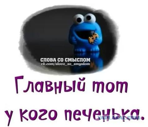 Весёлое из сети