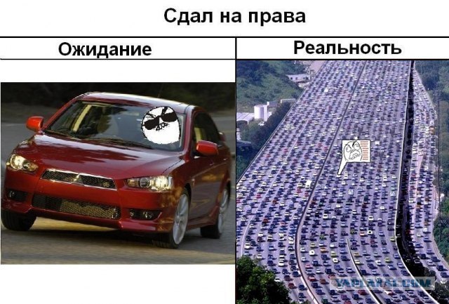 Сдал на права