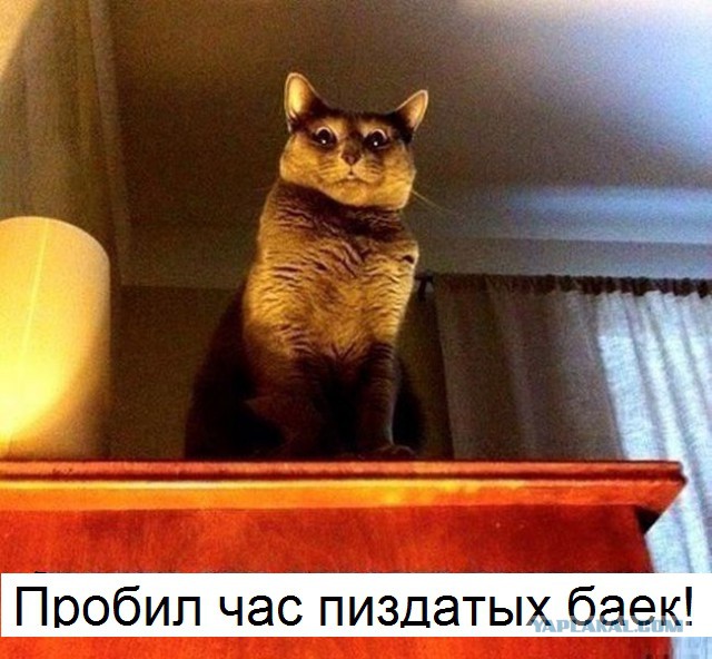 Жуть