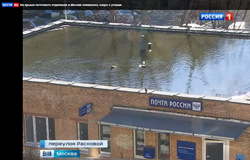 16 Бассейнов без границ