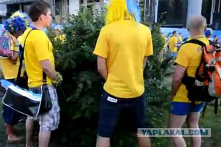 Доигрались