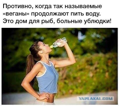 Родителей-веганов нужно много лечить. Электричеством...