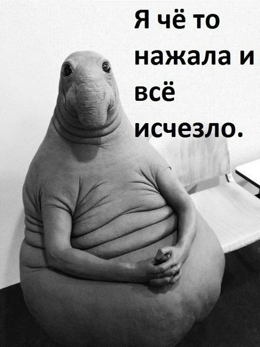 Хочу кошечку.