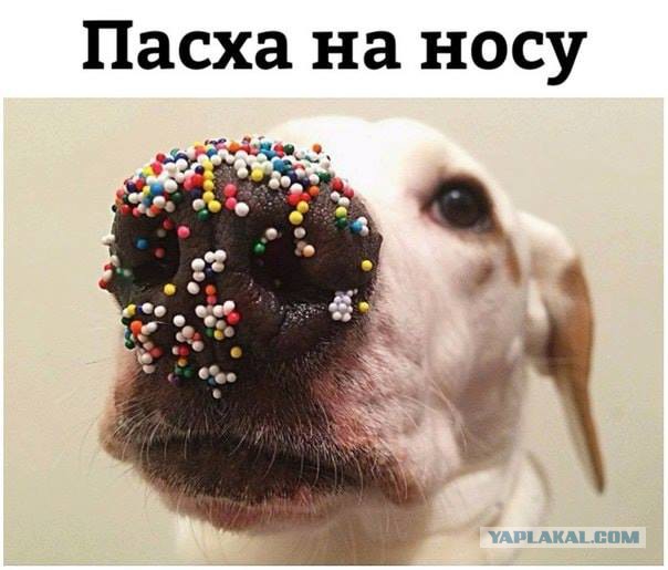 Эпитафия по Плаза