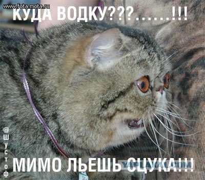 Куда делся весь Туборг?