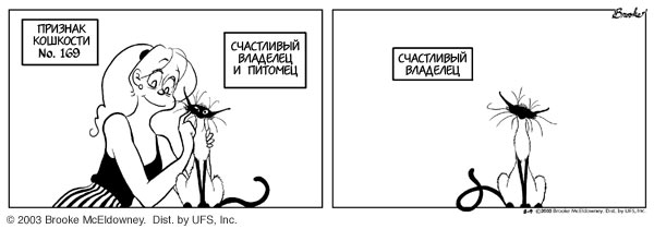 Признаки кошкости