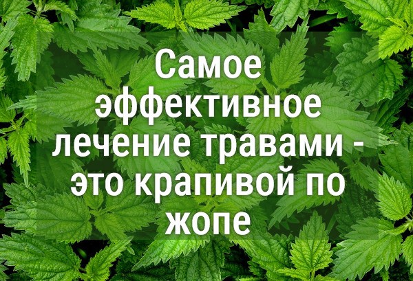О пользе витой пары в воспитании детей