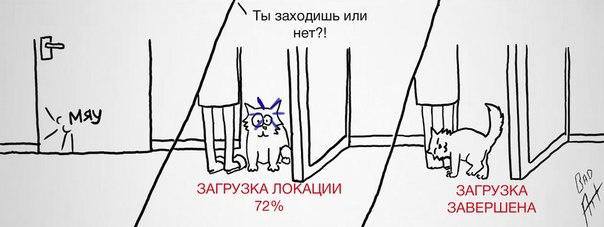 Почему кошки топчут нас лапками