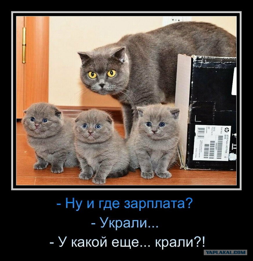 Зарплата Пришла