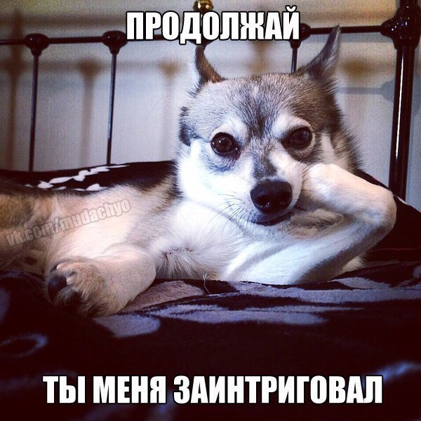 Так себе картинки 25.06.20