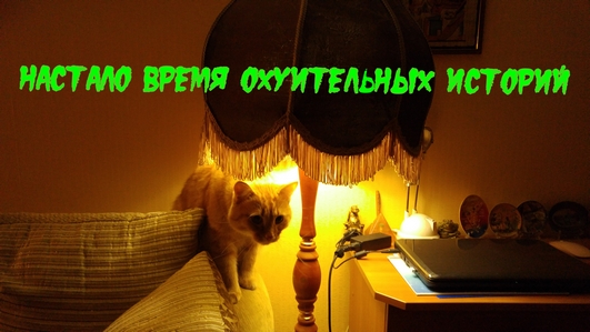 Картинки на котовторник 1.09.20