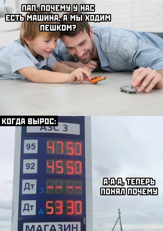 15340777.jpg