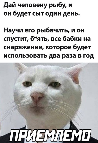 Баянисто-небаянистый юмор 15.05.21