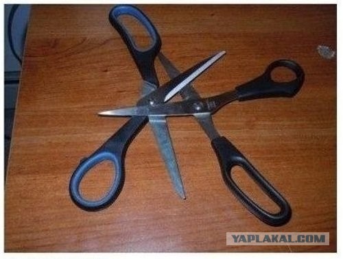 Отношение к ЛГБТ