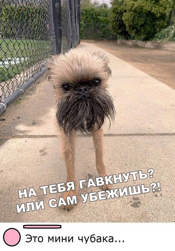 Так себе картинки 09.09.21