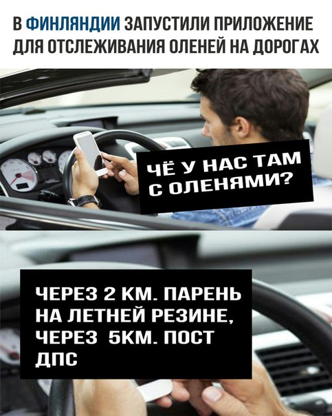 Картинки и мемы для настроения 18.10.2021