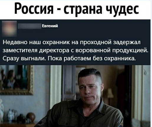 Забавные и веселые картинки