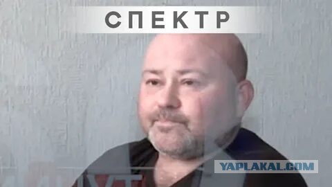 Жить хочет, наверное