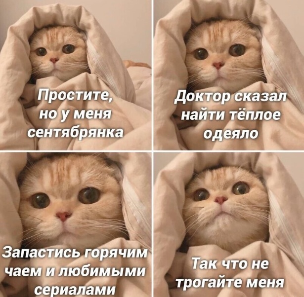 Немного картинок для настроения - 129