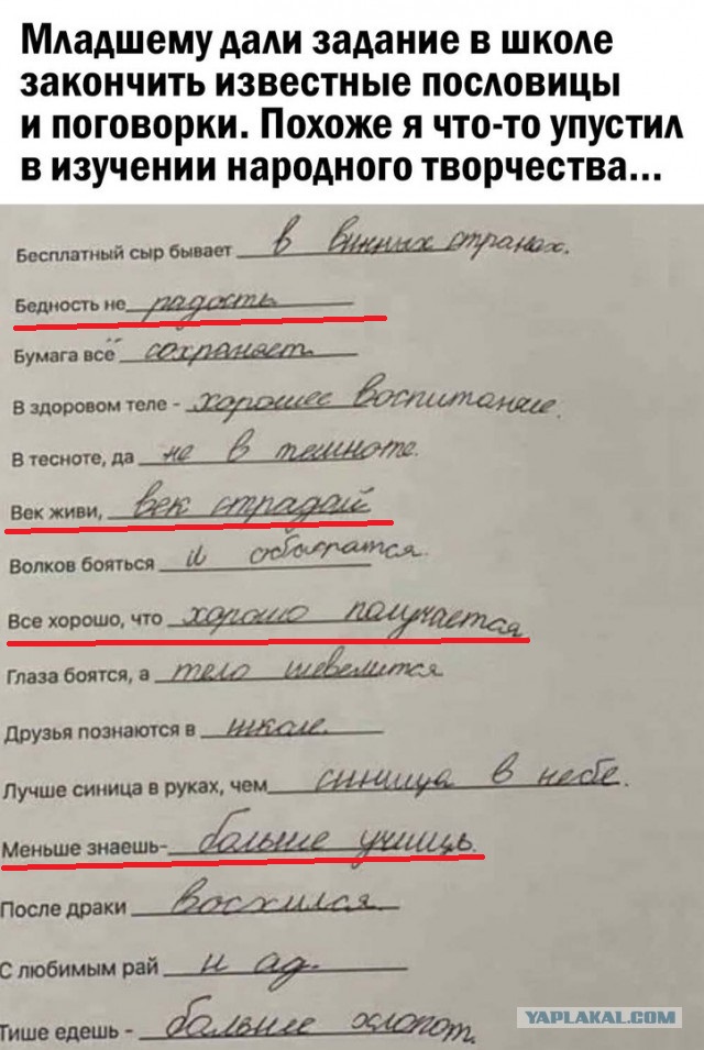 Так себе картинки 12.12.21
