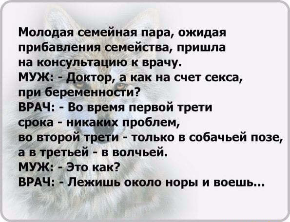 Так себе картинки 20.12.22
