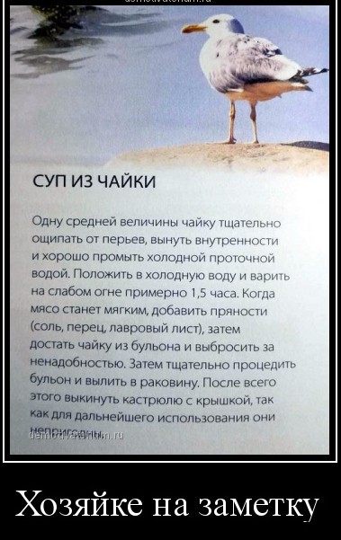 Кулинарный неформат