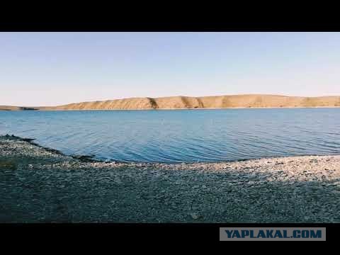 Аральское море почти исчезло, но в маленьких городах и деревнях есть признаки жизни